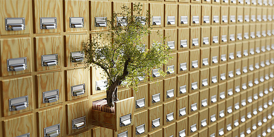 A photo of a card index box. A bonsai tree is growing out of one of the drawers of the card index box.