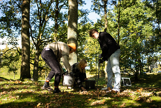 Foto: Drei Personen stehen in einem sonnigen Wald und hantieren mit Eimern.
