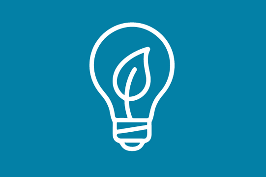 Weißes Icon auf blauem Grund: ein Blatt in einer Glühbirne