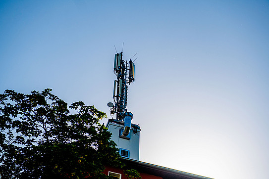 Cell phone tower on a house roof, next to it the upper branches of a tree