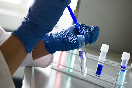 Photo: Two hands wearing blue gloves handling test tubes.