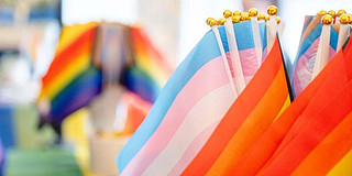 Photo: Colorful Pride rainbow flags and trans flags at an event on the university campus.