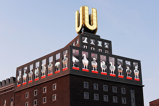 A glowing U on the roof of a building with a series of holographic video screens showing pigeons.